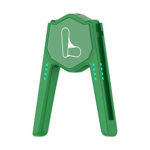 Joy-con Charging Handle Grip Special Theme With Charging Cable (Luigi Logo Green)